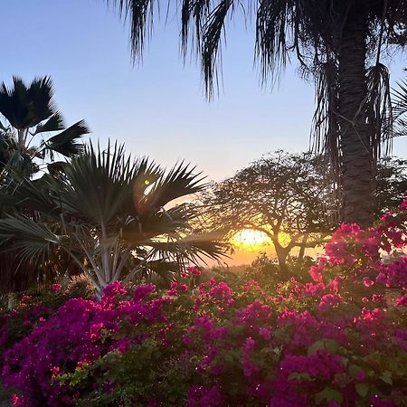 Villa Jouanacaera ル・カルベ エクステリア 写真
